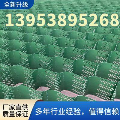 TGLG-PP-200-400-1.5High Strength Honeycomb Geogrid Chamber Slope Protection Retaining Wall photo-2