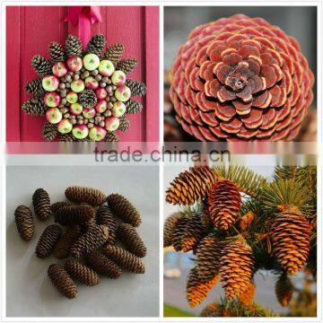 Artificial Christmas Trees Gold Pine Cones(Differnt sizes can supply)