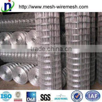 Anping Factroy Supple Hot-dipped Galvanized Welded Wire Mesh photo-2