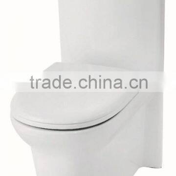 One-piece Washdown s trap 220mm toilet