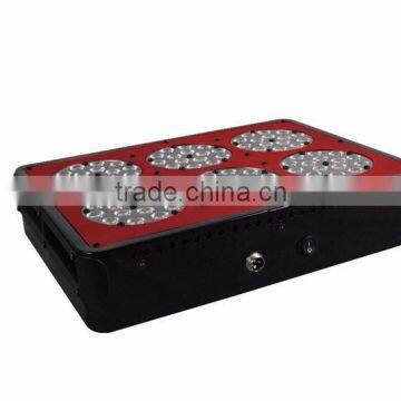 high output led plant grow light super ufo led grow light for plants 600w Grow Light For Hydro Plant Growth