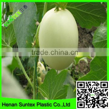 Heavy Duty Long-lasting Flexible Growing Vine Vegetables Support Net