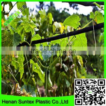 SUPER PLANT SUPPORTS NETTING MADE EASY GROW TENT NET photo-6