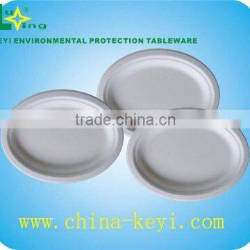 bagasse disposable tableware