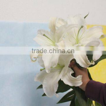 China alibaba online shopping fresh flowers white lily for sale