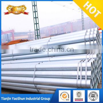 galvanized scaffold tube/ galvanized schedule 10 pipe/ galvanized square meter price