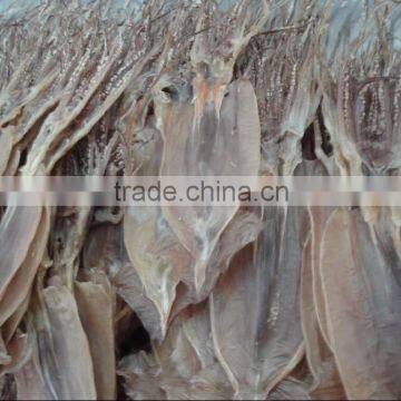 Dried squid seafood