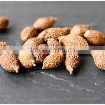 mavla nuts competitive origin Vietnam