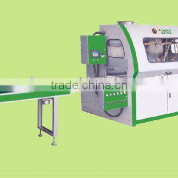 HSHM450PQ-C Wood line spray-paint machine