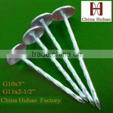 Q235 G9*2'' roofing nails galvanized