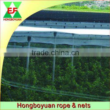 HDPE+UV agriculture anti hail screens