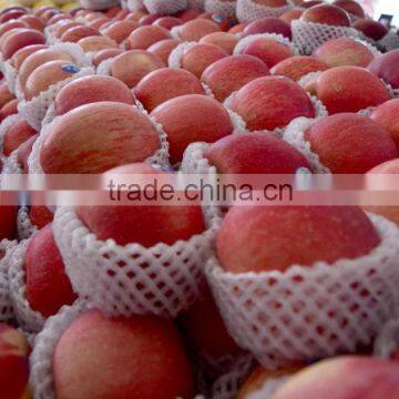 China Fresh Perfumed Fuji Apple