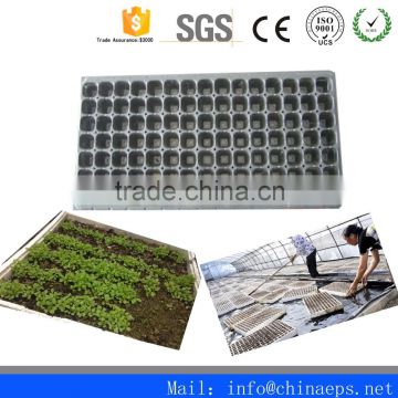 Chian Best Mould For Styrofoam For Seeding Tray Mould/Used Mould