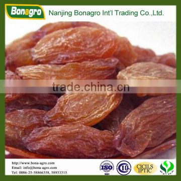 sweet dried red raisin for sale