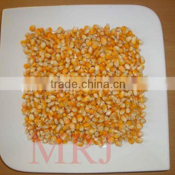 Yellow Maize for Animal feed