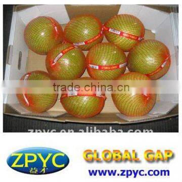 Chinese honey pomelo