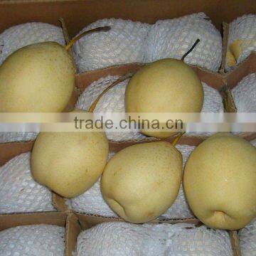 China 2011 New Crop Fresh Ya Pear