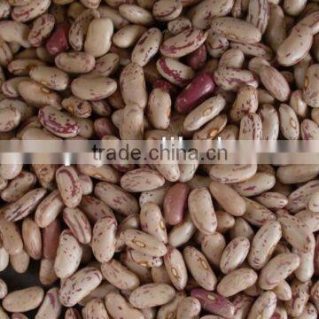 CHINESE RED SPECKLED KIDNEY BEANS photo-2