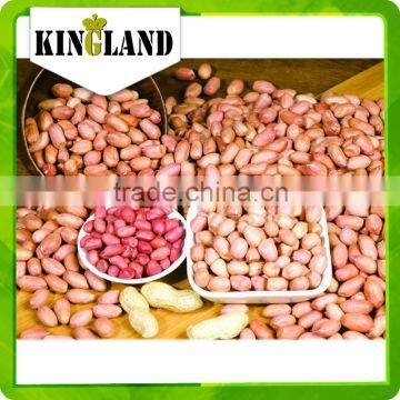 bulk peanuts kernel for sale