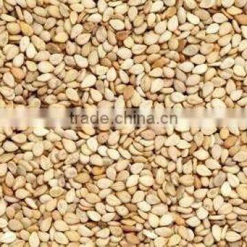 Sesame seeds