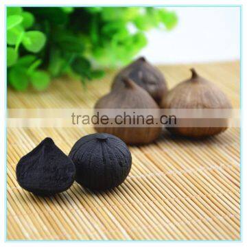 Korean Fermented Black Garlic Extract Powder