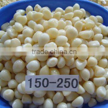 Good quality peeled garlic cloves in brine