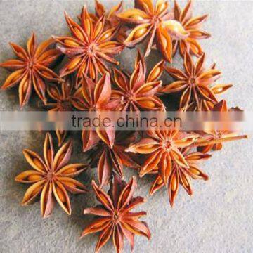 High Quality With Best Price Illicium Verum