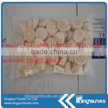 Frozen Sea Scallop on Hot Sale photo-4
