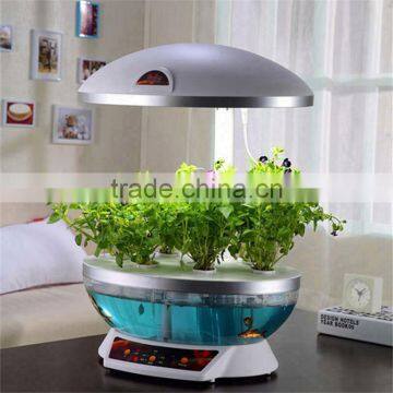 Valentine Day Gift Supply