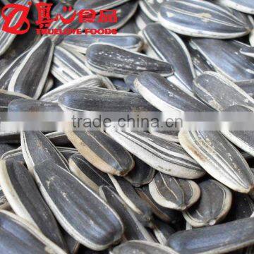 Long Type Hulled sunflower seeds Market Price