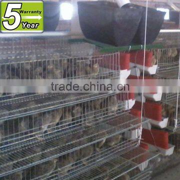 high quality quail cage guangzhou