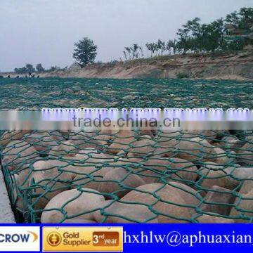 ISO 9001 High Qualtiy PVC Gabion Box( Factory Price)