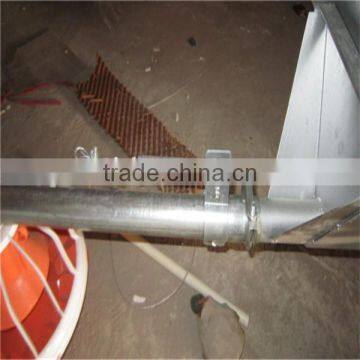 Automatic Broiler Chicken Farming Equipment photo-2