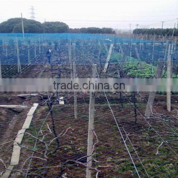 100% new nylon cheap vineyard bird netting, fruit tree protection net