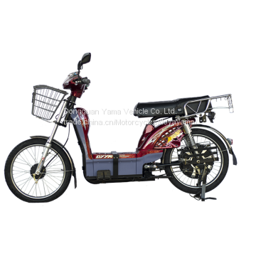 south asia market cargo loading bike electric bike electric bicycle for wholesale