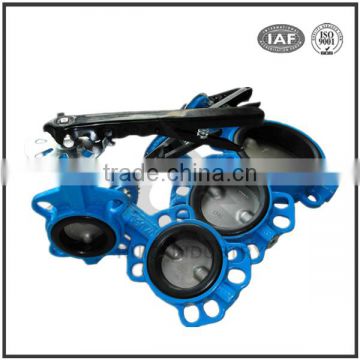 Dalian manufacturers custom cast iron exhaust wafer butterfly valve