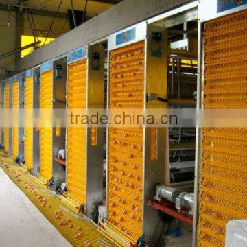 poultry farm equipment egg collection system