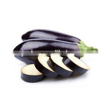 Stainless Steel Industrial Fruit Vegetable Processing Industrial Vegetable Cutter +8618637188608 photo-2