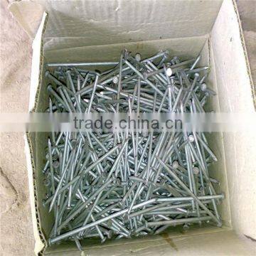 Factory Manufacturer Wire Carbon Iron Common Nail photo-4