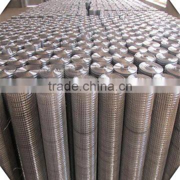 Galvanized Square Welded Wire Mesh for Sale / 1.5 Inch Welded Wire Mesh Price photo-5