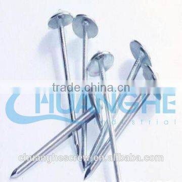 Copper Coil Roofing Nails photo-3