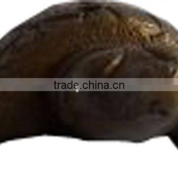 Garden Tortoise Statue photo-3