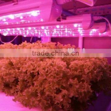 High par indoor led grow tube light 20W 4ft for phalaenopsis