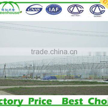 Commercial 200 Micron Greenhouse Film photo-4