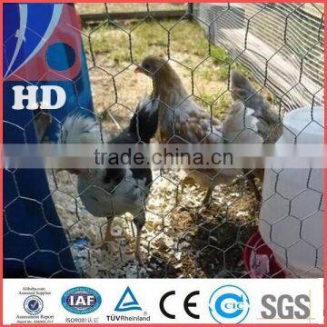 Hot sale Chicken hexagonal wire mesh/gabion wire mesh