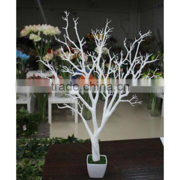 Guangzhou Shengjie Produce Dry Tree for Decoration photo-3