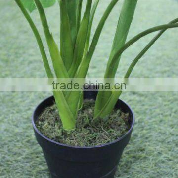 Artificial Bonsai Plants Artificial Turtle Back Bonsai Decor Monstera photo-3