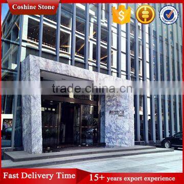 Decoration Heaven Bird White Marble With With Black Veins photo-6