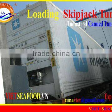 LOADING FROZEN SKIPJACK TUNA W/R