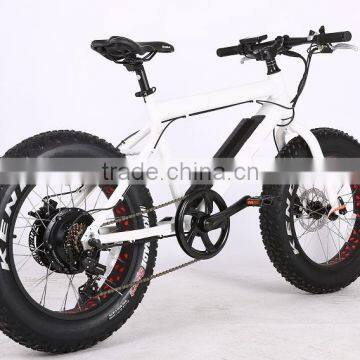 2017 New Design 20 Inch 36V 350W Non-foldable Electric Fat Bike photo-6